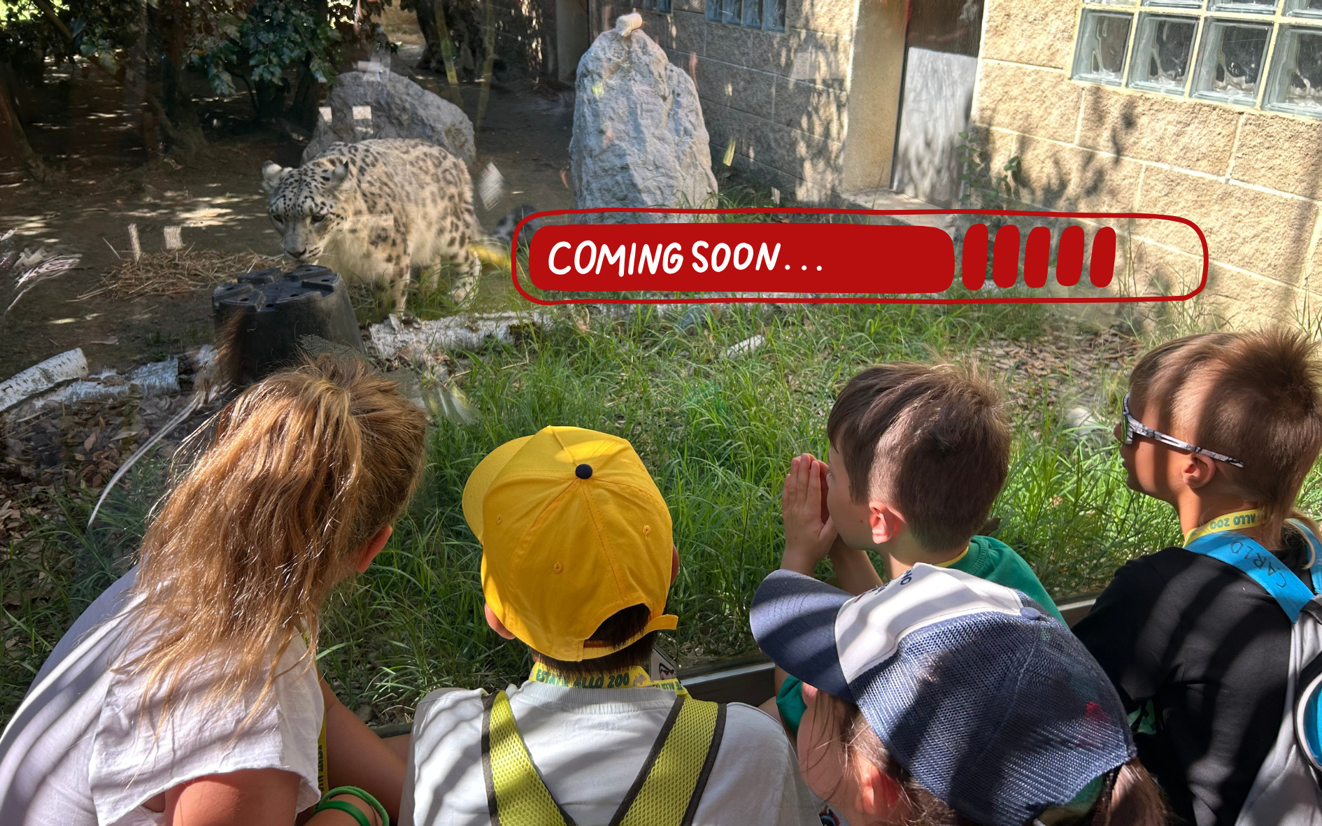 /uploads/coming soon estate allo zoo.png